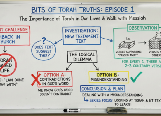 Bits of Torah Truths – The Importance of the Torah in Our Lives – Episode 1