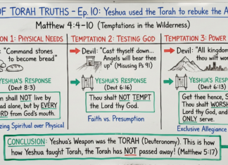 Bits of Torah Truths – Yeshua used the Torah to rebuke the Adversary – Episode 10