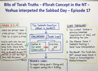 Bits of Torah Truths – Yeshua interpreted the Sabbath Day – Episode 17