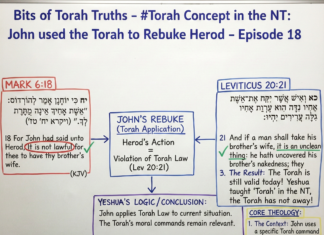 Bits of Torah Truths – John the Baptist used the Torah to Rebuke Herod – Episode 18