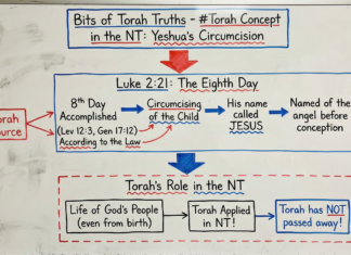 Bits of Torah Truths – Yeshua was Circumcised on the Eighth Day – Episode 20