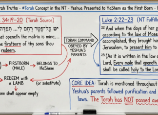 Bits of Torah Truths – Yeshua was Presented to HaShem as the First Born – Episode 21