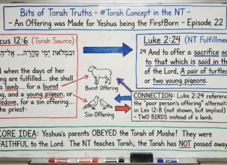 Bits of Torah Truths – An Offering was Made for Yeshua according to the NT Text – Episode 22