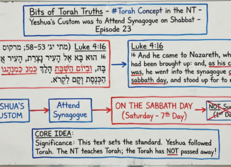 Bits of Torah Truths – Yeshua’s Custom was to Attend Synagogue on Shabbat – Episode 23