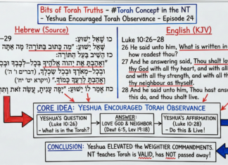 Bits of Torah Truths – Yeshua Encouraged Torah Observance – Episode 24