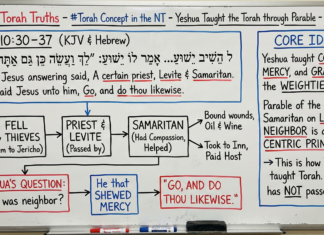 Bits of Torah Truths – Yeshua Taught the Torah through Parable – Episode 25