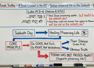 Bits of Torah Truths – Yeshua preserved life on the Sabbath – Episode 26