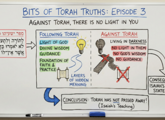 Bits of Torah Truths – Against Torah, There is No Light in You – Episode 3