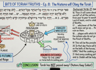 Bits of Torah Truths – The Nations will Obey the Torah – Episode 8