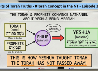 Bits of Torah Truths, The Torah & Prophets Convince Nathaniel about Yeshua being Messiah, Episode 31