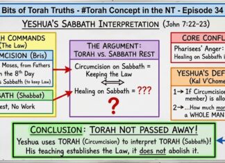 Bits of Torah Truths – Yeshua Interpreted the Sabbath – Episode 34