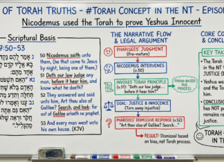 Bits of Torah Truths – Nicodemus used the Torah to prove Yeshua Innocent – Episode 37