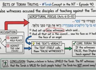 Bits of Torah Truths, False Witnesses Accused the Disciples of Teaching Against the Torah Episode 40