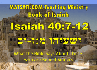 What the Bible Says About Those who are Repeat Sinners, ישעיהו מ:ז-יב / Isaiah 40:7-12