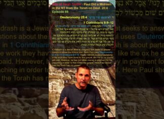 Bits of Torah Truths – Paul Did a Midrash in the NT from the Torah on Deut. 25:4 – Episode 89