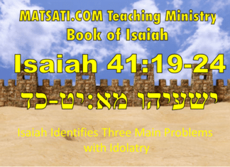 Isaiah Identifies Three Main Problems with Idolatry, ישעיהו מא:יט-כד/ Isaiah 41:19-24