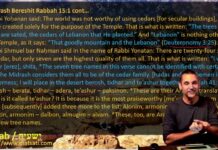 Watch Dr Duane Miller Discuss What Isaiah and the Rabbis Teach Us about the True God and the False gods, ישעיהו מא:יט-כד/ Isaiah 41:19-24