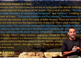 Watch Dr Duane Miller Discuss What Isaiah and the Rabbis Teach Us about the True God and the False gods, ישעיהו מא:יט-כד/ Isaiah 41:19-24
