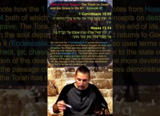 Bits of Torah Truths – The Torah on Death and the Grave in the NT – Episode 97