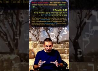 Bits of Torah Truths – Paul Teaches Torah on the Two or Three witnesses – Episode 129