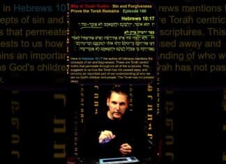 Bits of Torah Truths – Sin and Forgiveness Prove the Torah Remains – Episode 160