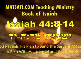 God Reveals His Plan to Send the Servant Messiah to Be a Witness to Israel and the Nations, ישעיהו מד:ח-יד / Isaiah 44:7-14