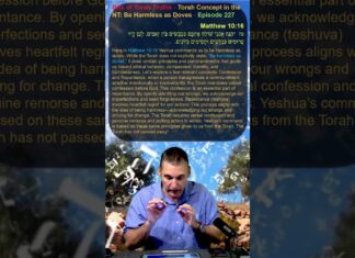 Bits of Torah Truths – Torah Concept in the NT: Be Harmless as Doves – Episode 227