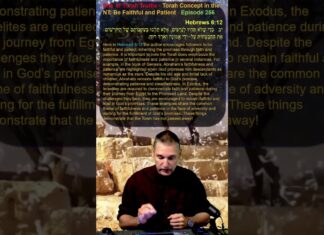Bits of Torah Truths – Torah Concept in the NT: Be Faithful and Patient – Episode 256