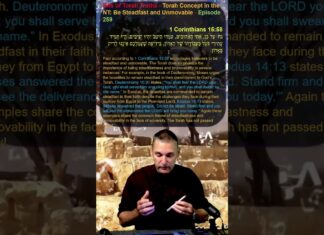 Bits of Torah Truths – Torah Concept in the NT: Be Steadfast and Unmovable – Episode 259