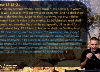 Watch Dr Duane D Miller Discuss Messianic Prophecies in Isaiah and the NT, ישעיהו מט:כ-כו / Isaiah 49:20-26