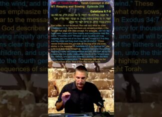 Bits of Torah Truths – Torah Concept in the NT: Reaping and Sowing – Episode 318