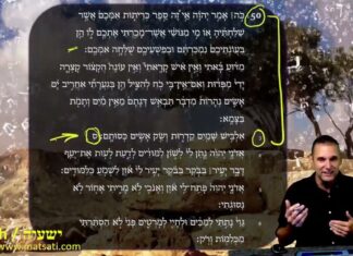 The Servant Songs: ישעיהו נ:א-ו / Isaiah 50:1-6 and Its Messianic Significance