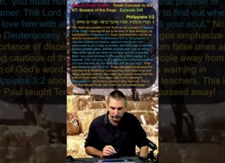 Bits of Torah Truths – Torah Concept in the NT: Beware of the Dogs – Episode 340