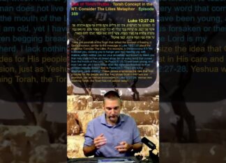 Bits of Torah Truths – Torah Concept in the NT: Consider the Lilies Metaphor – Episode 359