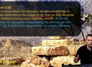 Watch Dr Duane D Miller Discuss the differences between the Messiah as a Lamb and us as Sheep, Isaiah 53:7-12