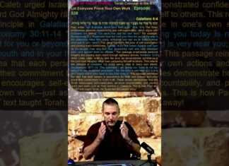Bits of Torah Truths – Torah Concept in the NT: Let Everyone Prove Your Own Work – Episode 538