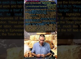 Bits of Torah Truths – Torah Concept in the NT: Let the Thief Steal No More – Episode 540