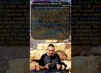 Bits of Torah Truths – Torah Concept in the NT: Let No Man Despise You – Episode 555