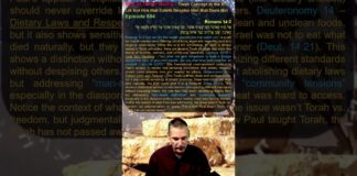 Bits of Torah Truths – Torah Concept in the NT: Let Not Him that Eateth Despise Him that Does Not – Episode 584