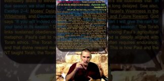 Bits of Torah Truths – Torah Concept in the NT: Let Us Not Be Weary in Well Doing – Episode 608