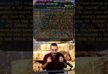 Bits of Torah Truths – #Torah Concept in the NT: Love Enemies – Episode 645