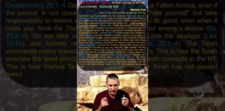 Bits of Torah Truths – #Torah Concept in the NT: Love Enemies – Episode 645