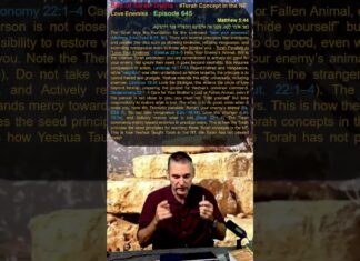 Bits of Torah Truths – #Torah Concept in the NT: Love Enemies – Episode 645