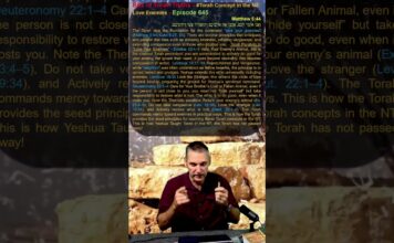 Bits of Torah Truths – #Torah Concept in the NT: Love Enemies – Episode 645