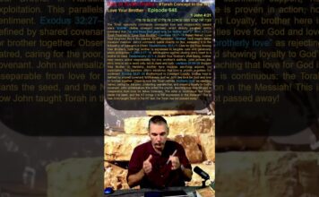 Bits of Torah Truths – #Torah Concept in the NT: Love Your Brother – Episode 648