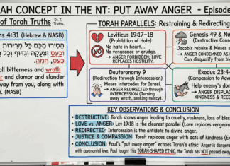 Bits of Torah Truths – #Torah Concept in the NT: Put Away Anger – Episode 671