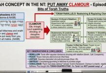 Bits of Torah Truths – #Torah Concept in the NT: Put Away Clamor – Episode 672