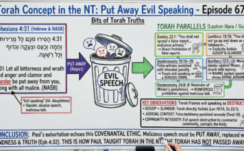 Bits of Torah Truths – #Torah Concept in the NT: Put Away Evil Speaking – Episode 673