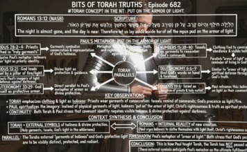 Bits of Torah Truths – #Torah Concept in the NT: Put on the Armor of Light – Episode 682