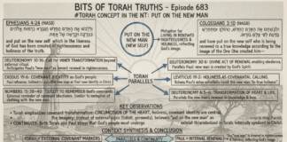 Bits of Torah Truths – #Torah Concept in the NT: Put on the New Man – Episode 683